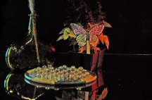 Kid Still Life