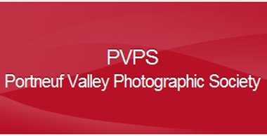 PVPS