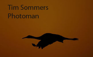 Tim Sommers