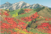 fall colors by Stan Anderson